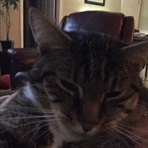 Meet your Posher, Susan